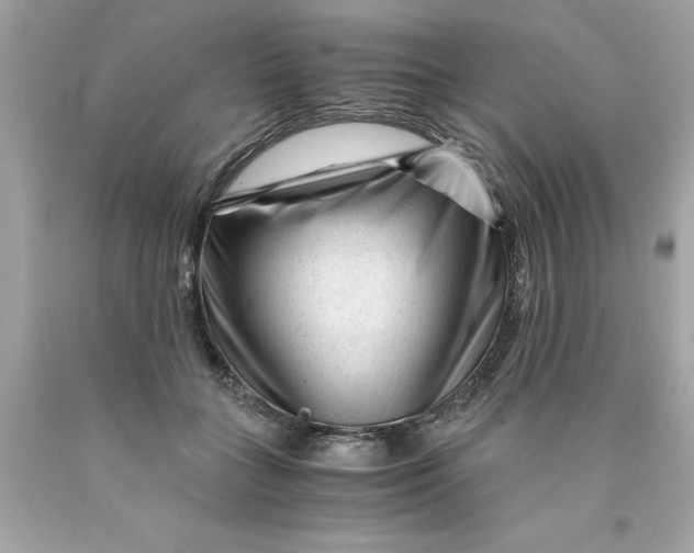 X0000089950555200707201928