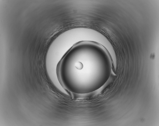 X0000089950556200707201928