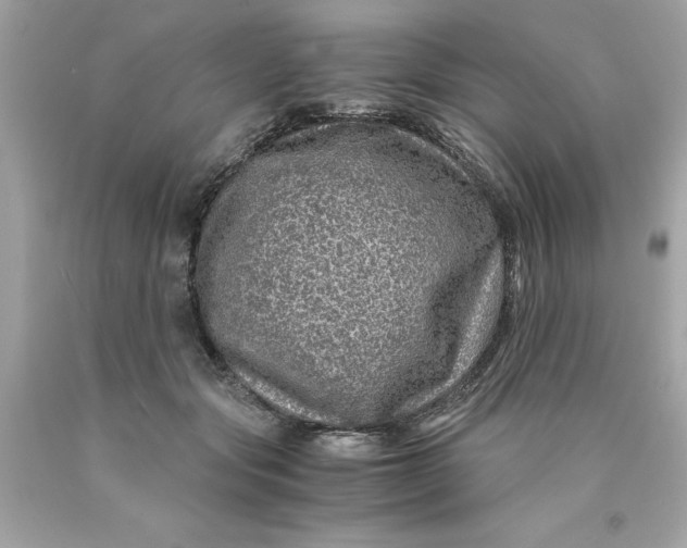 X0000089950557200707201928