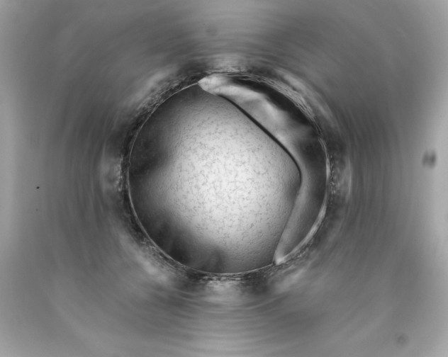 X0000089950560200707201928