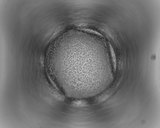 X0000089950561200707201928