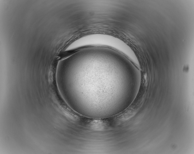 X0000089950562200707201928