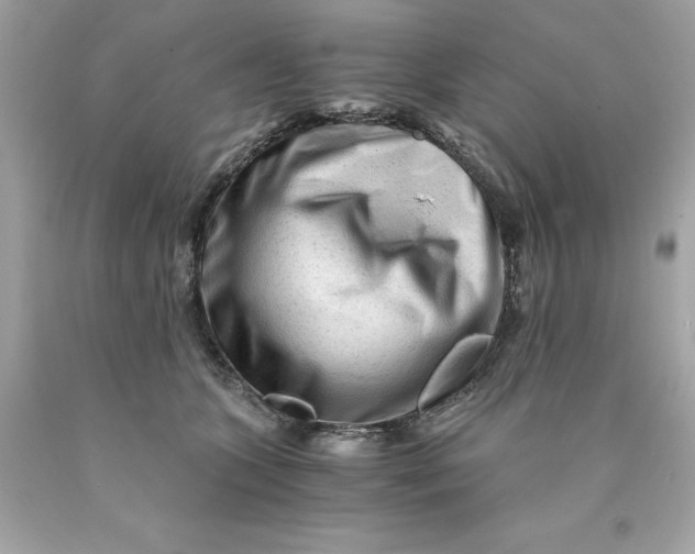 X0000089950563200707201928