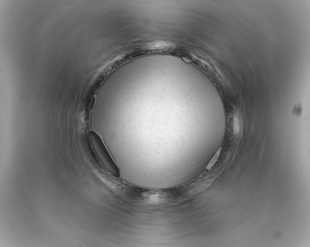 X0000089950564200707201928