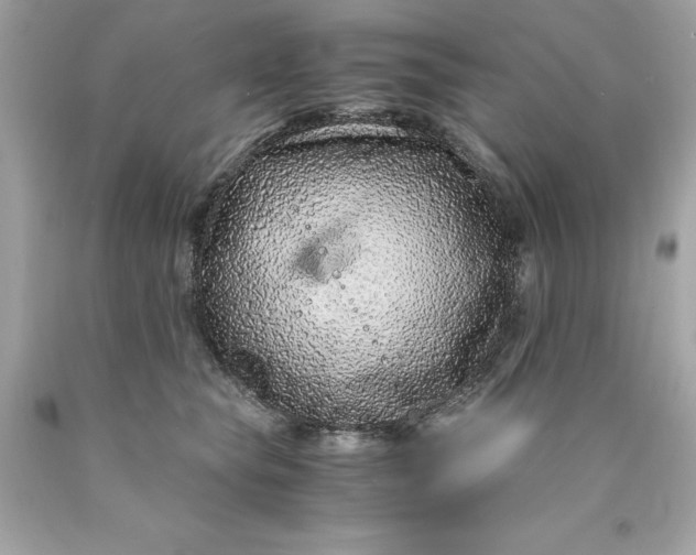 X0000089950565200707201928