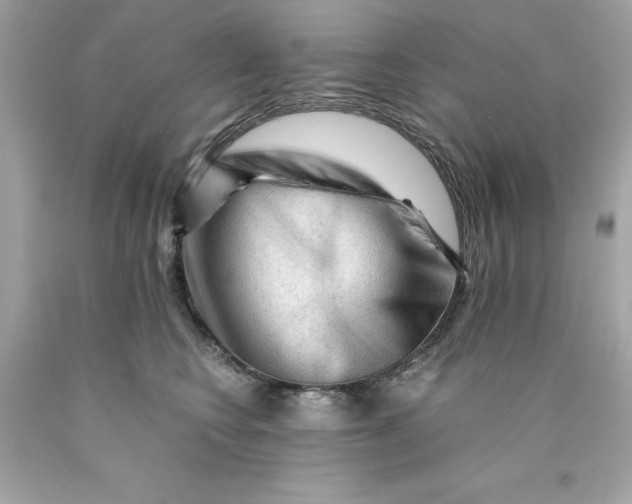 X0000089950566200707201928