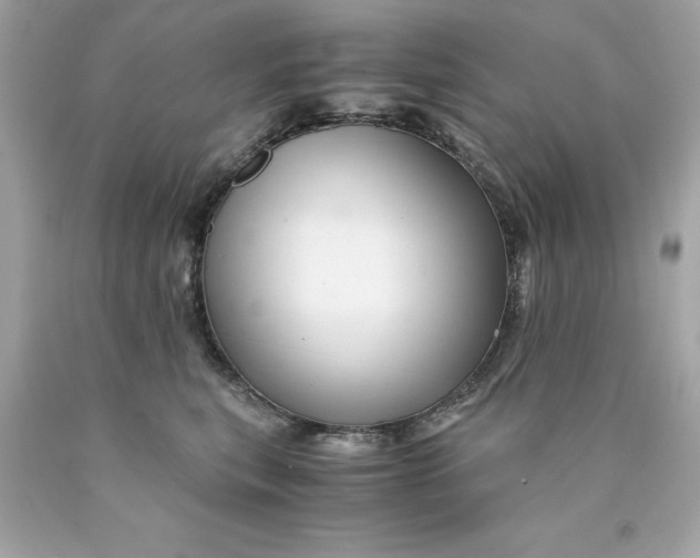 X0000089950567200707201928