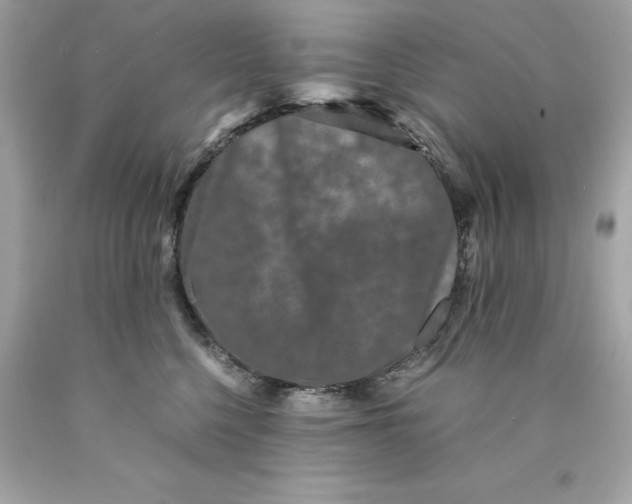 X0000089950568200707201928