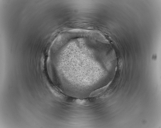 X0000089950570200707201928