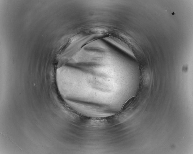 X0000089950571200707201928