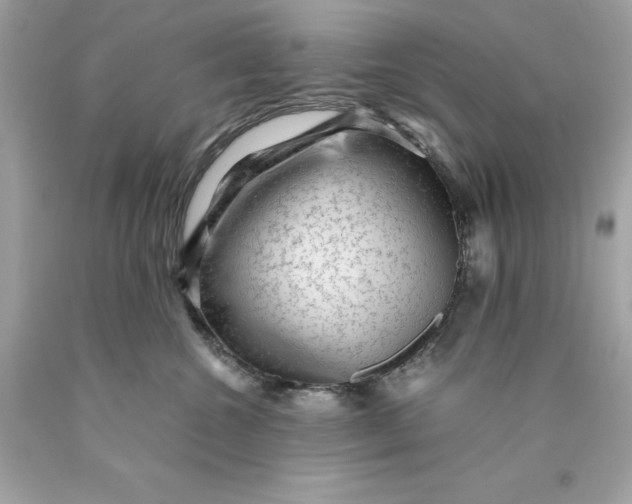 X0000089950572200707201928