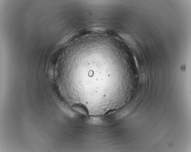 X0000089950573200707201928