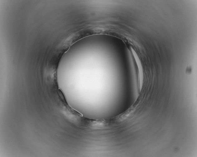 X0000089950574200707201928