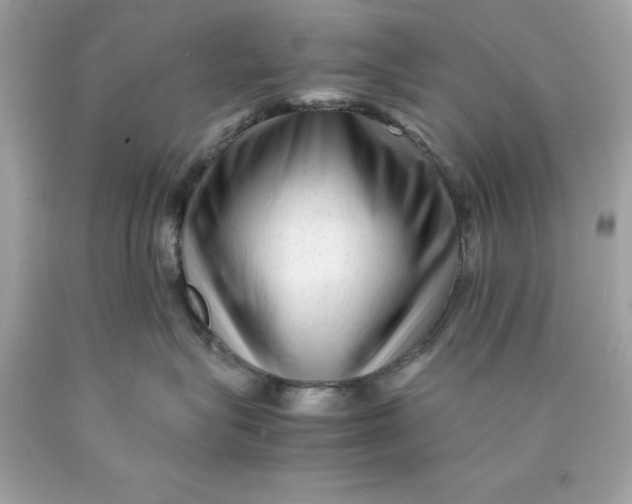 X0000089950575200707201928