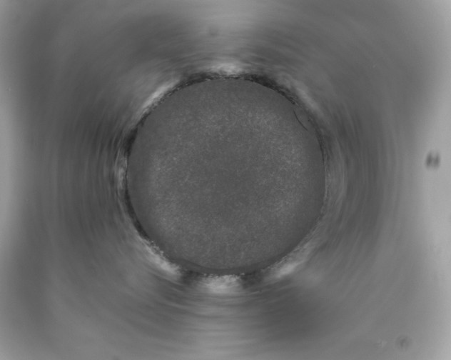 X0000089950576200707201928