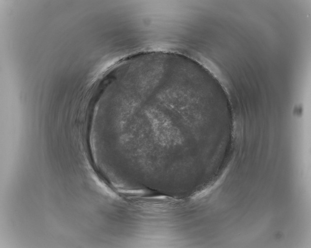 X0000089950577200707201927