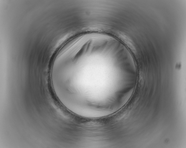 X0000089950578200707201927