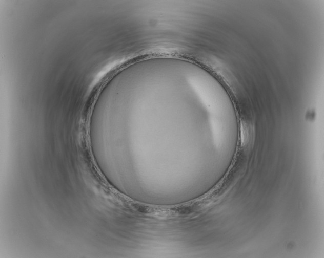 X0000089950579200707201927