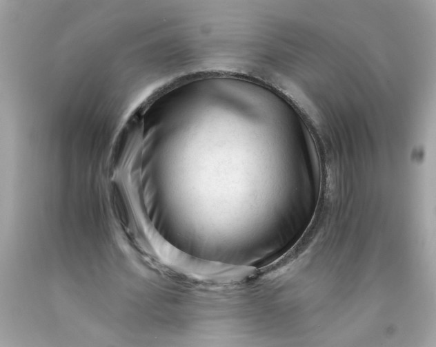 X0000089950580200707201927