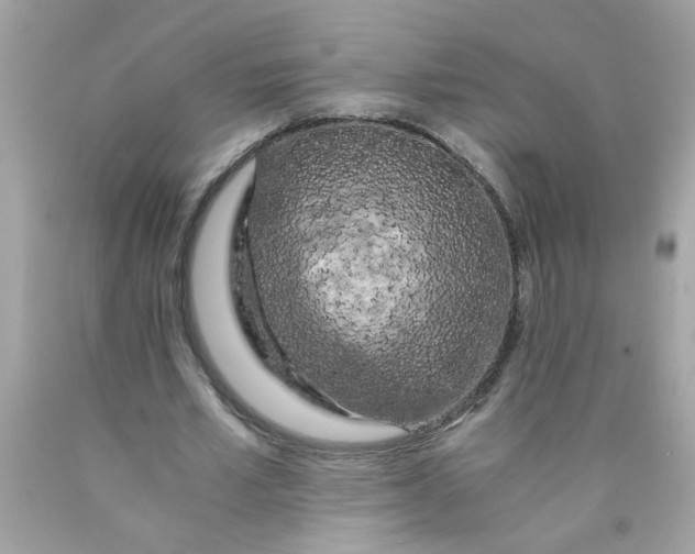 X0000089950581200707201927