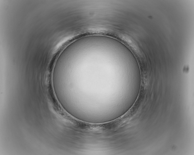 X0000089950583200707201927