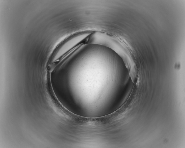 X0000089950584200707201927