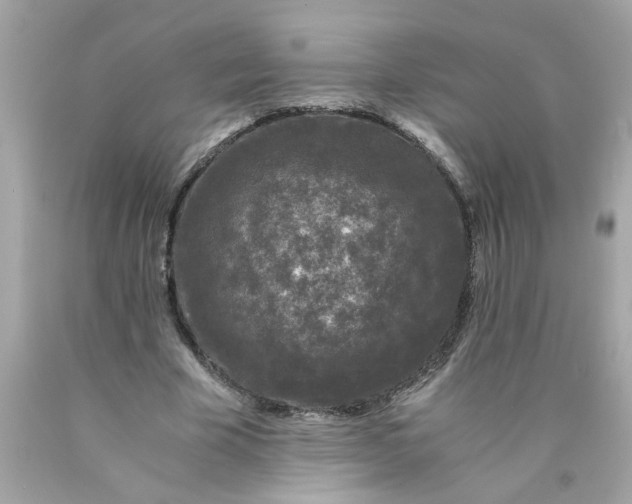 X0000089950585200707201927