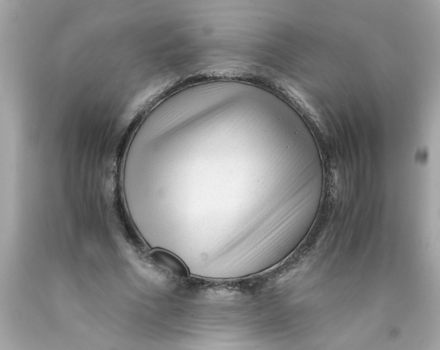 X0000089950586200707201927