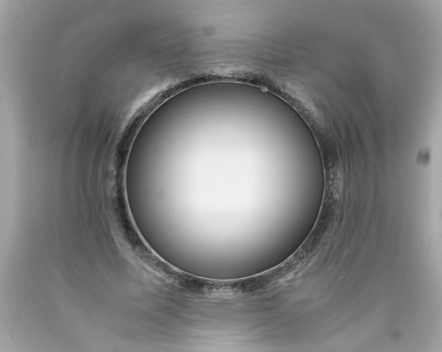 X0000089950587200707201927