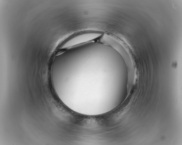 X0000089950588200707201927