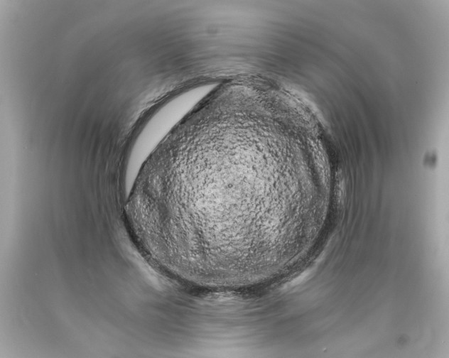 X0000089950589200707201927