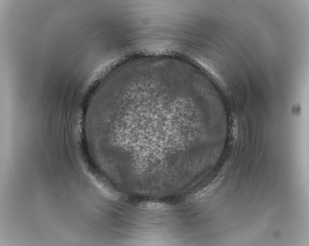 X0000089950590200707201927