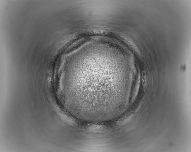 X0000089950593200707201927