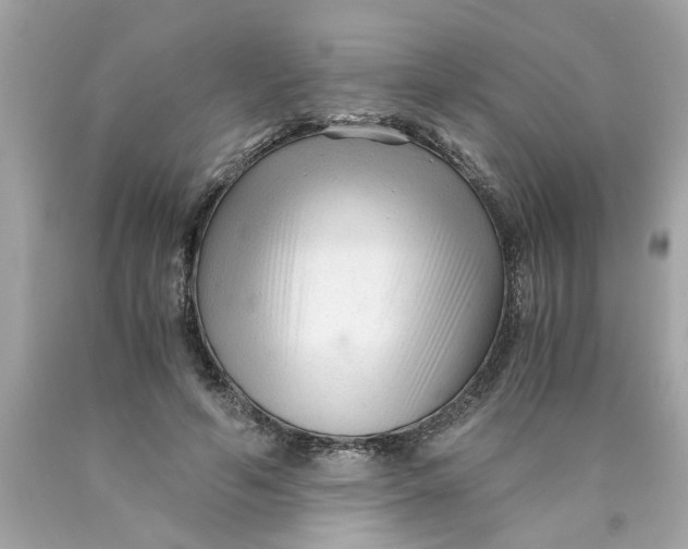 X0000089950594200707201927