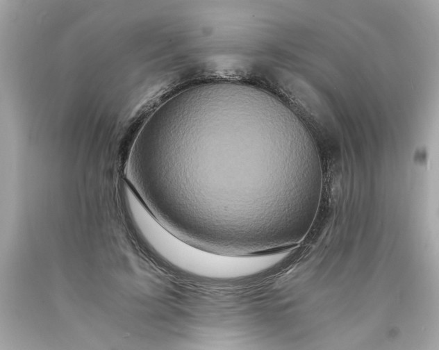 X0000089950595200707201927