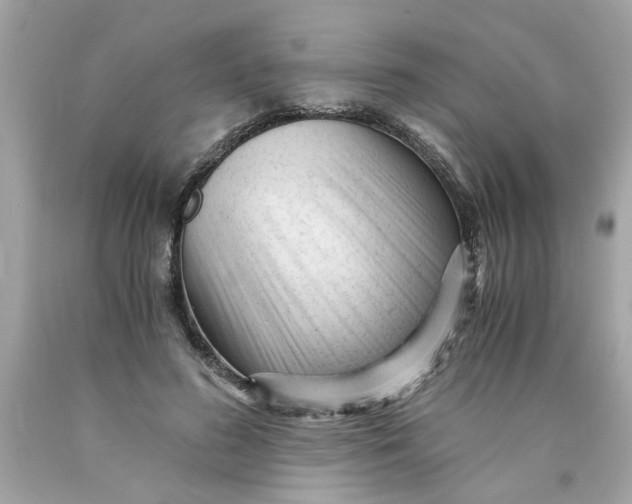 X0000089950596200707201927