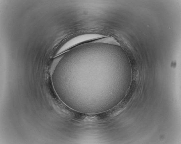 X0000089950599200707201927