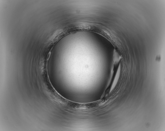 X0000089950600200707201927