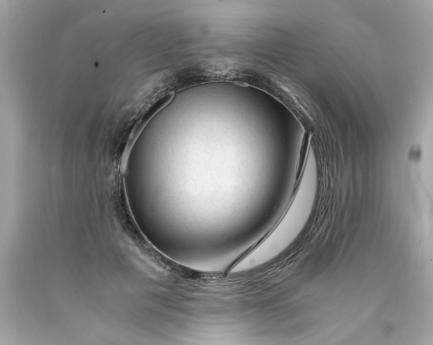 X0000089950601200707201927