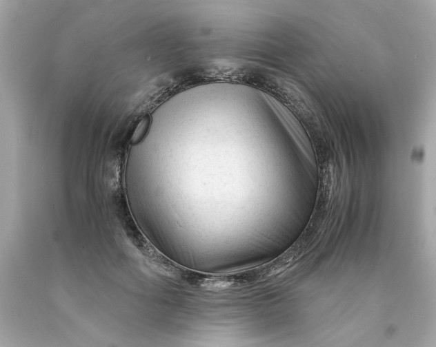 X0000089950602200707201927