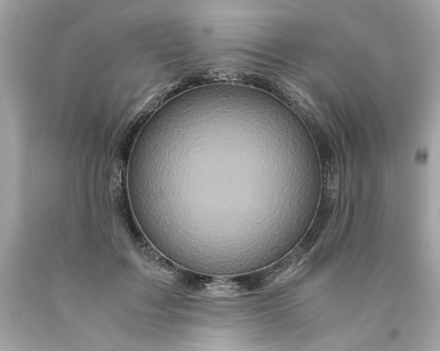 X0000089950603200707201927