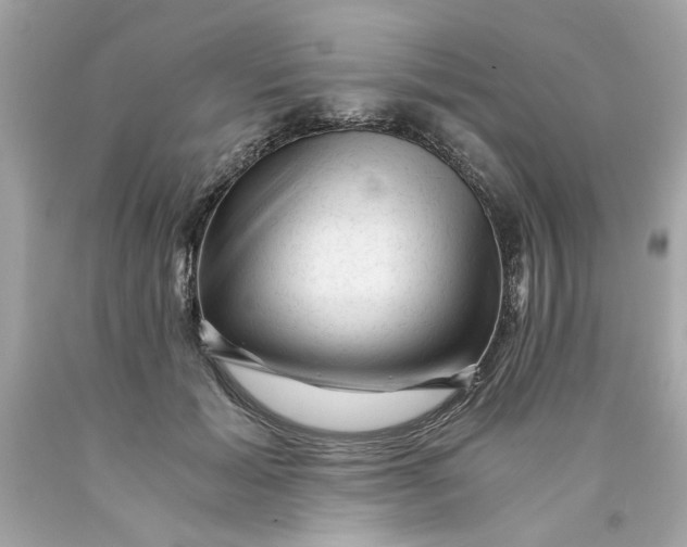 X0000089950605200707201927