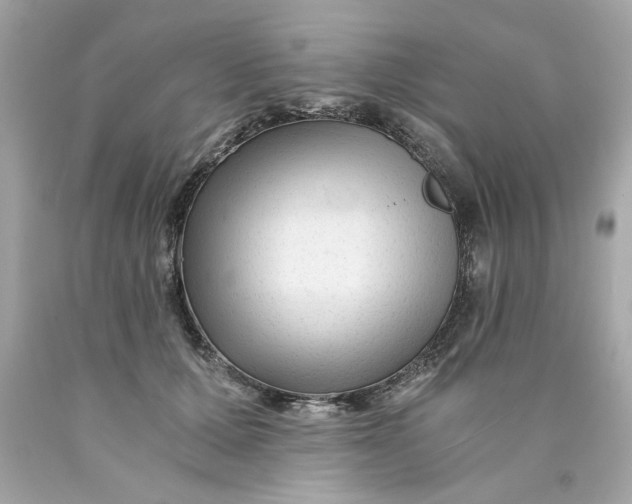 X0000089950607200707201927