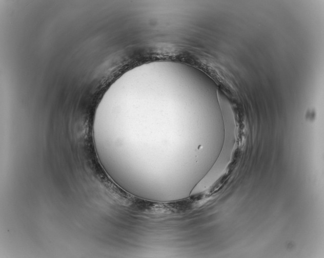 X0000089950608200707201927