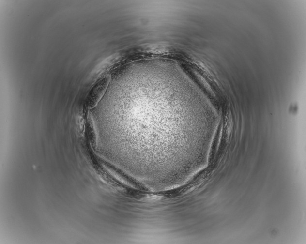 X0000089950609200707201927