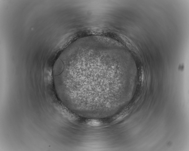 X0000089950610200707201927