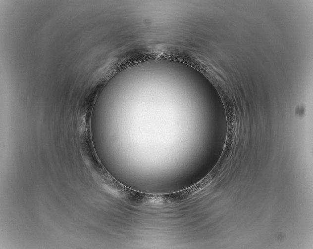 X0000089950611200707201927