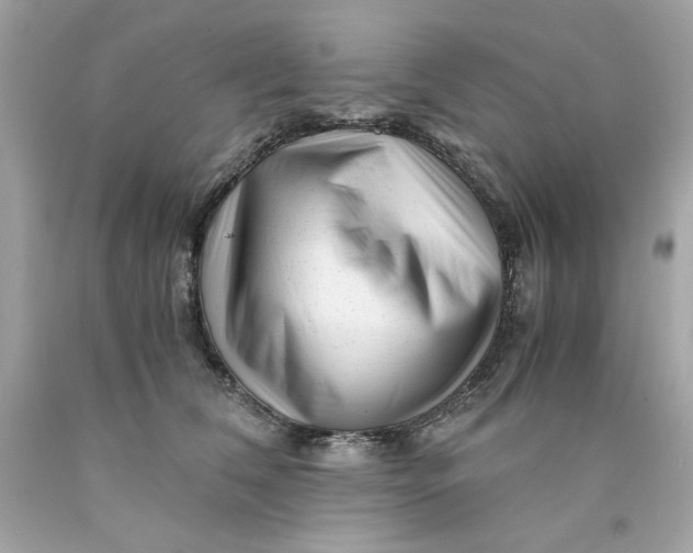 X0000089950612200707201927