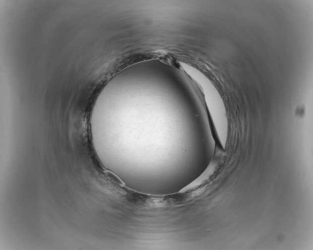 X0000089950613200707201927