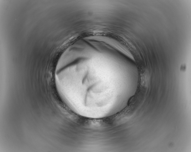 X0000089950618200707201927